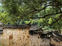-杨家堂村