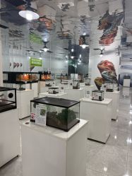 点击看大图 -神奇动物撸宠馆·羊驼·小浣熊·异宠(豫园店)