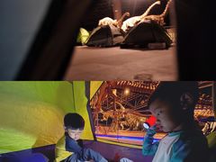 -世界恐龙谷景区