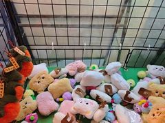 -生火火·小炉子炭烤(金楠天街总店)