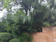 -海兰云天度假区温泉