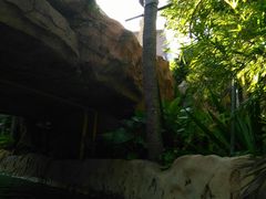 -三亚湾红树林度假世界(木棉酒店)