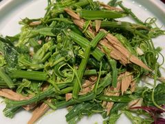 炝拌丝瓜尖-北平盛世·新京菜·北京烤鸭(劲松·双井店)