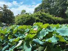 -丝绸小镇荻港古村