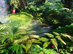 -Chom Cafe and Restaurant