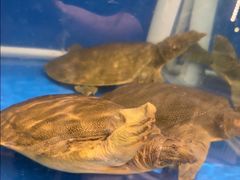 -彭城味道.地道徐州味(怡海花园店)