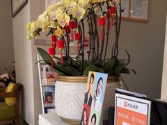 -土豆口腔(凤凰北总店)