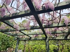 -北京市劳动人民文化宫(太庙)