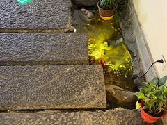 -花千醉(新街口店)