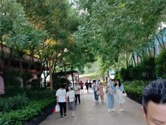 -郑州方特水上乐园