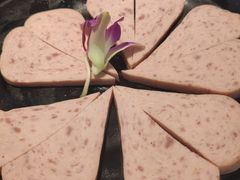 梅林午餐肉-渝宗老灶火锅(巴国城店)