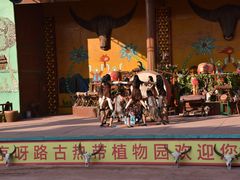 -呀路古热带植物园