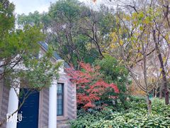 -徐家汇源景区-衡山公园