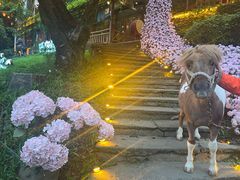 -巴倒烫陆派火锅山庄(南山总店)