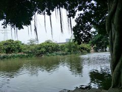 -小洲村