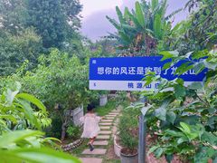 -桃源山庄·水蜜桃采摘·柴火鸡·烧烤团建(龙泉山店)