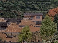 -杨家堂村