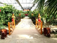 -呀路古热带植物园