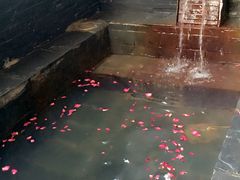 -北京美神宫艺术主题温泉酒店