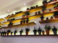 -翠華餐廳(浦东机场T1店)