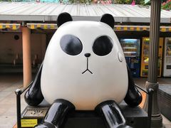 -九龙公园