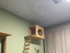 -半岛宠物医院24小时(白果林店)