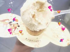 -野人先生现做冰淇淋(西安赛格店)