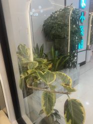 -美兮美学·日式美甲美睫
