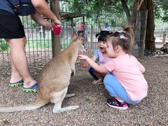 -费瑟代尔野生动物园