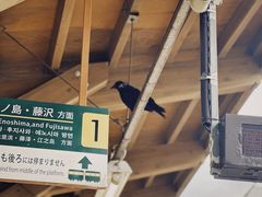 -灌篮高手动画打卡地