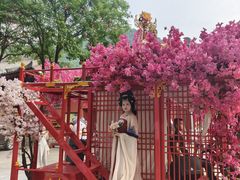 -华清宫景区