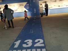 -成飞公园