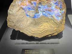 -湖南省地质博物馆