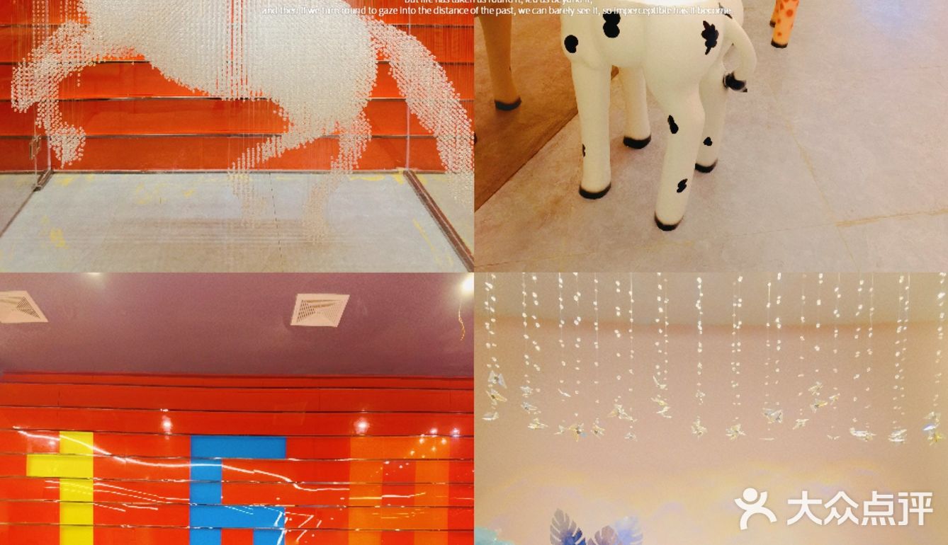 广州|动物氛围感餐厅带你一探究竟‼️