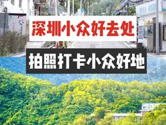 -大梅沙海滨公园