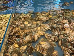 鲍鱼-钱库里海鲜自助(星海广场店)