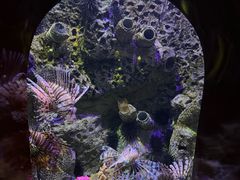 -太平洋海底世界