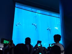 -南昌融创海世界