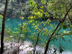 -鼎湖山风景区