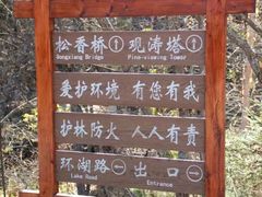 -五营红松林海景区