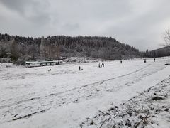 -武陵山森林公园