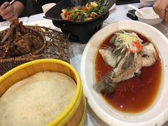 红烧多宝鱼-津悦·正阳春烤鸭(红旗南路店)