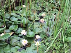 -上海多利农业发展有限公司