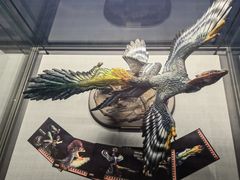 -湖南省地质博物馆