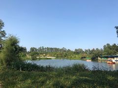 -南沙蒲洲花园