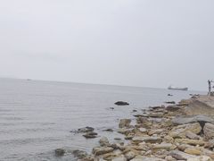 -贝壳沙滩