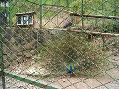 -藏龙百瀑风景区