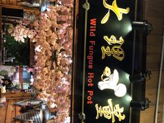 -大理董·董家小厨野生菌火锅(古城旗舰店)