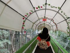 -藏龙百瀑风景区