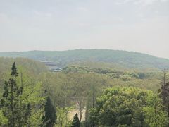 -武汉大学-樱园